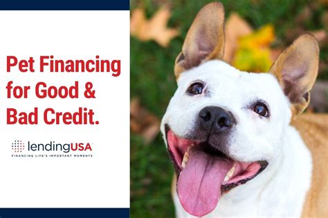 pet financing companies